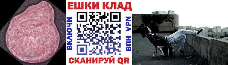 ЭКСТАЗИ Philipp Plein  что такое   Мыски 